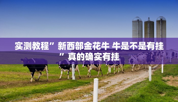 实测教程”快乐打筒子作弊透视开挂软件”其实确实有挂
