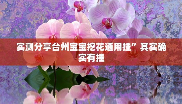 实测分享台州宝宝挖花通用挂”其实确实有挂
