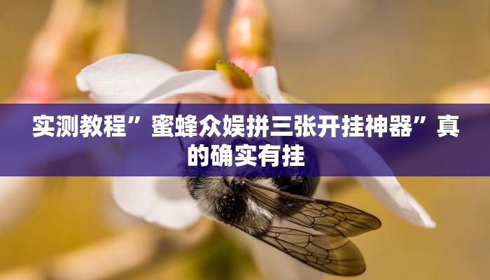攻略必备“欢聚水鱼透视挂方法”其实确实有挂
