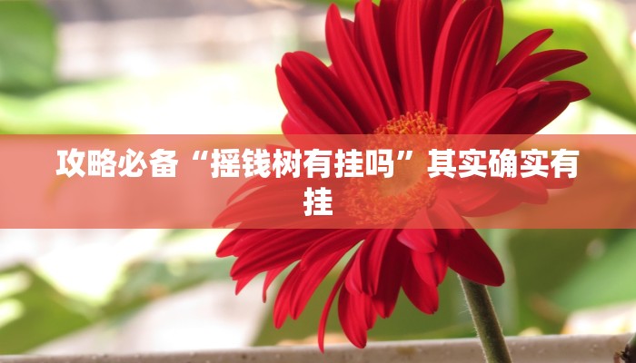攻略必备“摇钱树有挂吗”其实确实有挂
