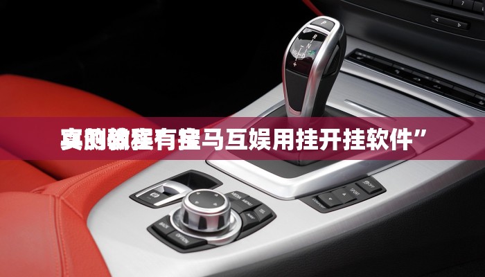 实测教程”宝马互娱用挂开挂软件”
真的确实有挂