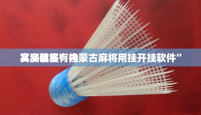 实测教程”内蒙古麻将用挂开挂软件”
其实确实有挂
