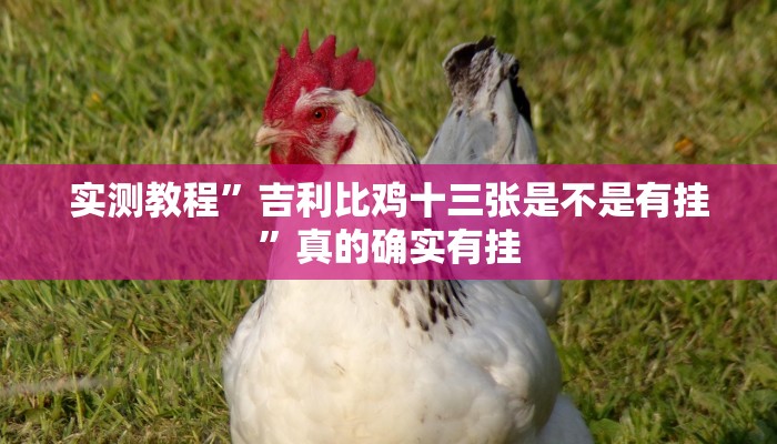 实测教程”吉利比鸡十三张是不是有挂”真的确实有挂