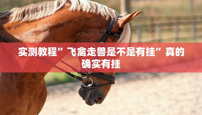 实测教程”飞禽走兽是不是有挂”真的确实有挂