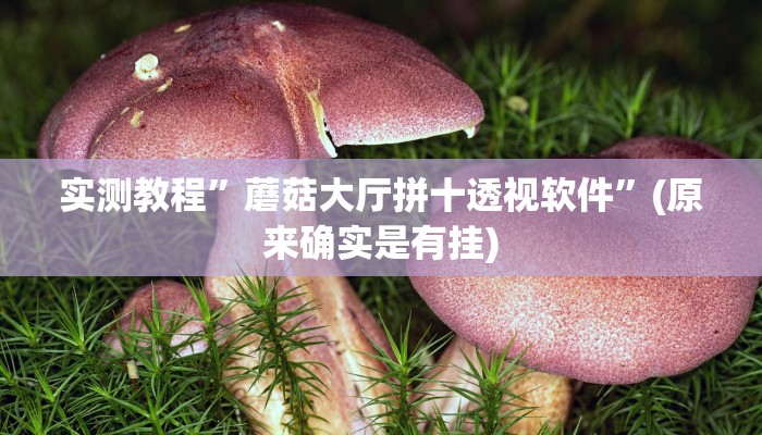 实测教程”河南朋友局是不是有挂”(原来确实是有挂)