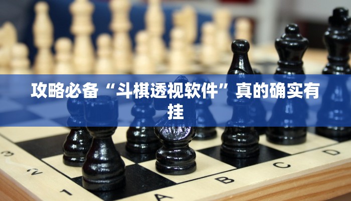 攻略必备“斗棋透视软件”真的确实有挂