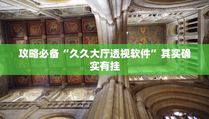 攻略必备“久久大厅透视软件”其实确实有挂
