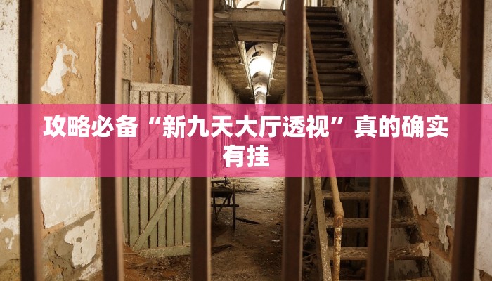 攻略必备“新九天大厅透视”真的确实有挂