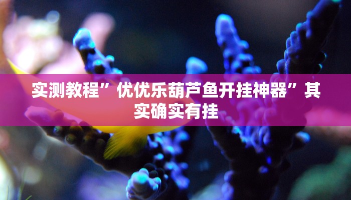 实测教程”优优乐葫芦鱼开挂神器”其实确实有挂
