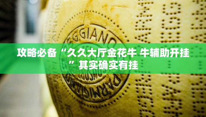 攻略必备“久久大厅金花牛 牛辅助开挂”其实确实有挂
