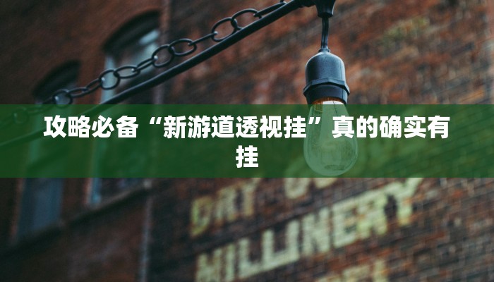 攻略必备“新游道透视挂”真的确实有挂
