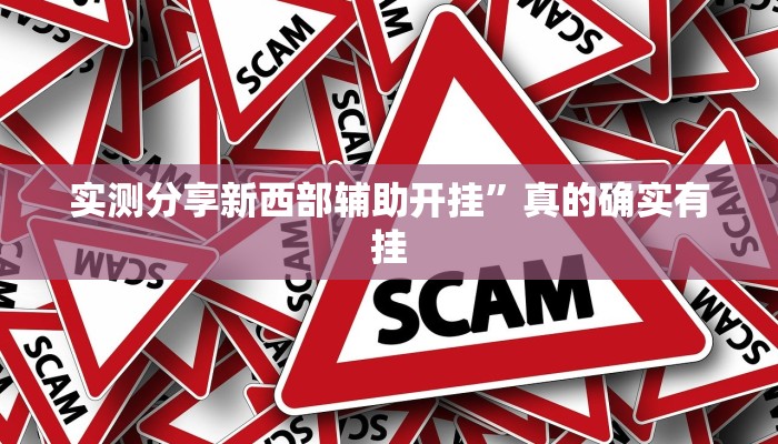 实测分享新西部辅助开挂”真的确实有挂