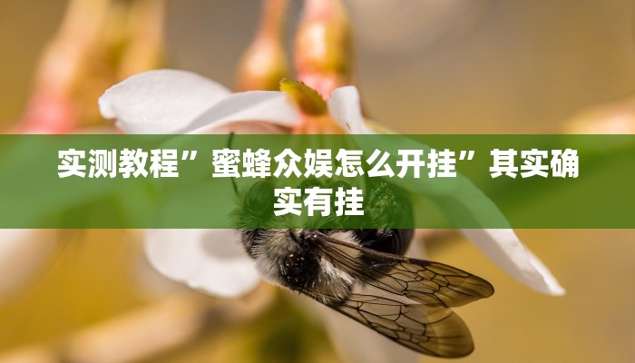 实测教程”蜜蜂众娱怎么开挂”其实确实有挂
