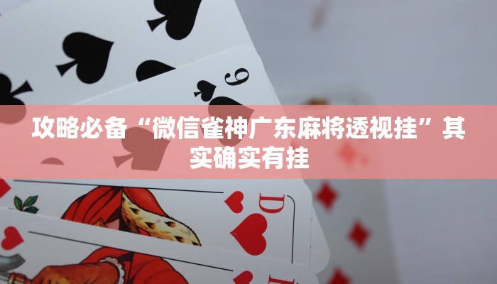 攻略必备“微信雀神广东麻将透视挂”其实确实有挂
