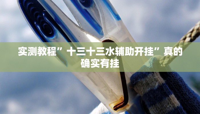 攻略必备“新神皇金花牛 牛透视”(原来确实是有挂)