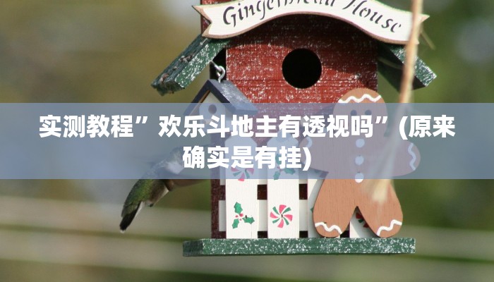实测教程”欢乐斗地主有透视吗”(原来确实是有挂)