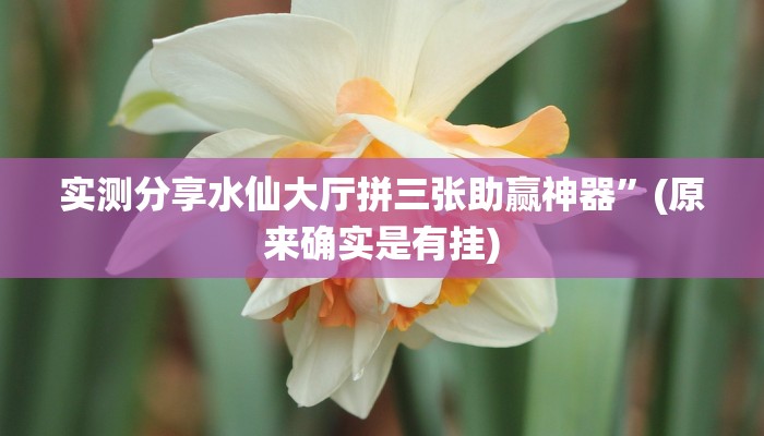 实测分享水仙大厅拼三张助赢神器”(原来确实是有挂)
