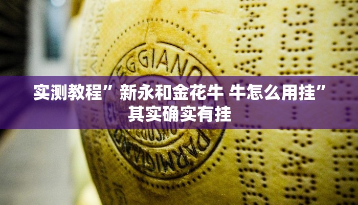 实测教程”新永和金花牛 牛怎么用挂”其实确实有挂
