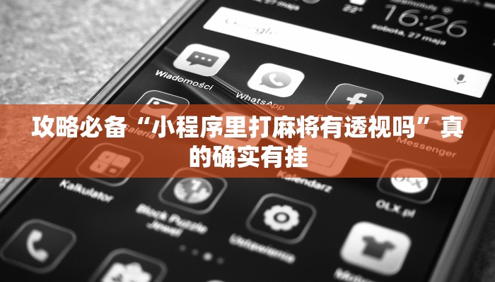 攻略必备“小程序里打麻将有透视吗”真的确实有挂