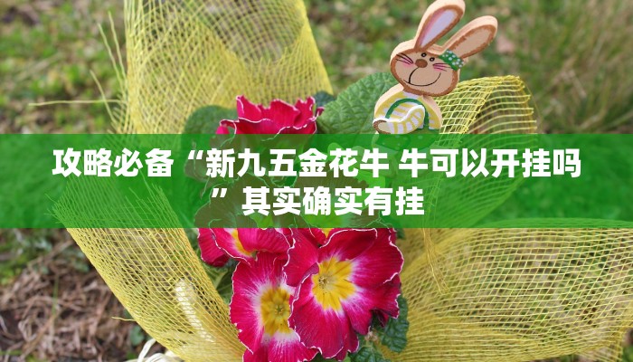 实测教程”蛮王斗牛辅助透视挂软件”真的确实有挂