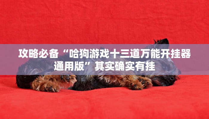 攻略必备“哈狗游戏十三道万能开挂器通用版”其实确实有挂
