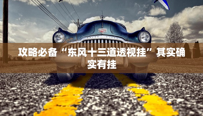 攻略必备“东风十三道透视挂”其实确实有挂
