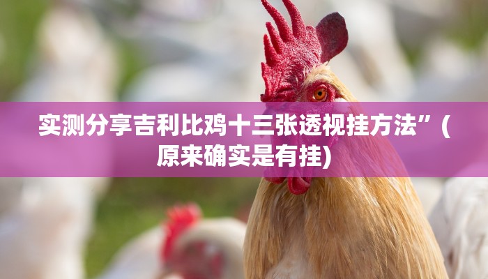 实测分享吉利比鸡十三张透视挂方法”(原来确实是有挂)