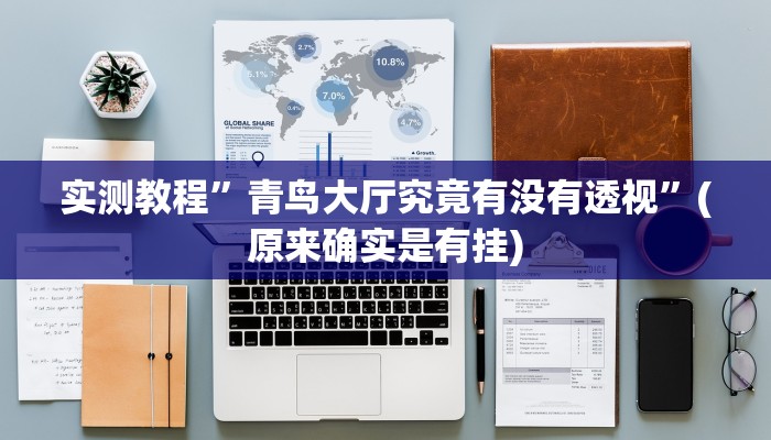 实测教程”青鸟大厅究竟有没有透视”(原来确实是有挂)
