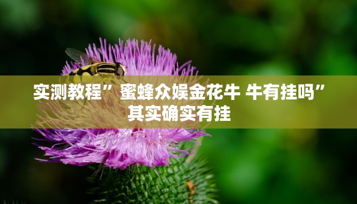 实测教程”蜜蜂众娱金花牛 牛有挂吗”其实确实有挂
