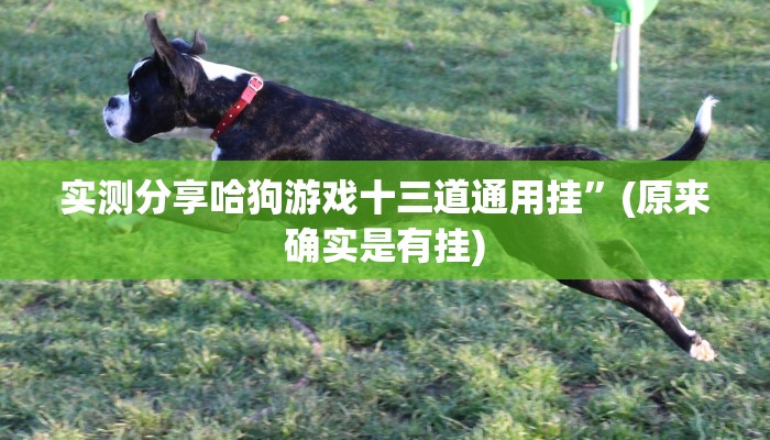 实测分享哈狗游戏十三道通用挂”(原来确实是有挂)