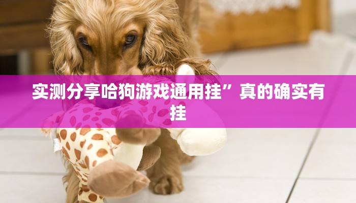 实测分享哈狗游戏通用挂”真的确实有挂