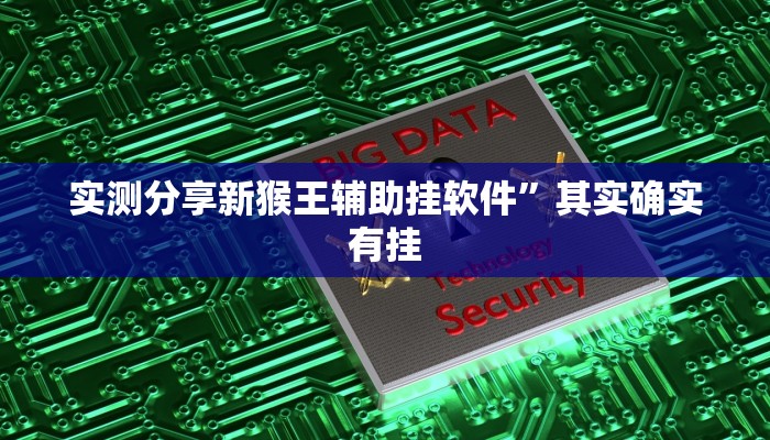 实测分享新猴王辅助挂软件”其实确实有挂
