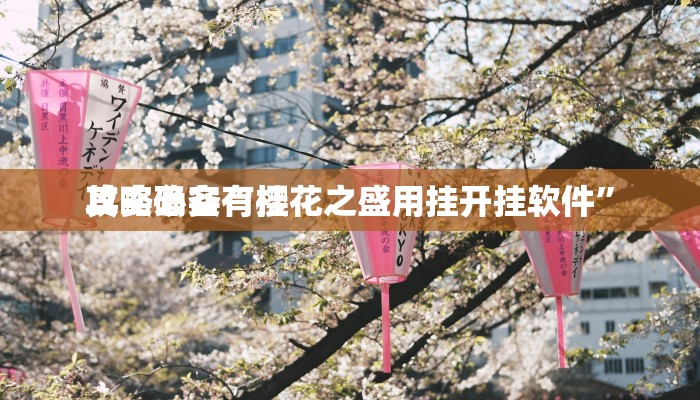 实测教程”阿拉斗牌辅助透视挂软件”(原来确实是有挂)