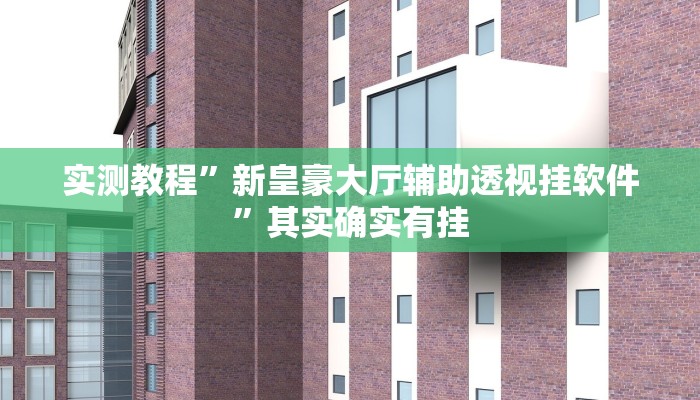 实测教程”新皇豪大厅辅助透视挂软件”其实确实有挂
