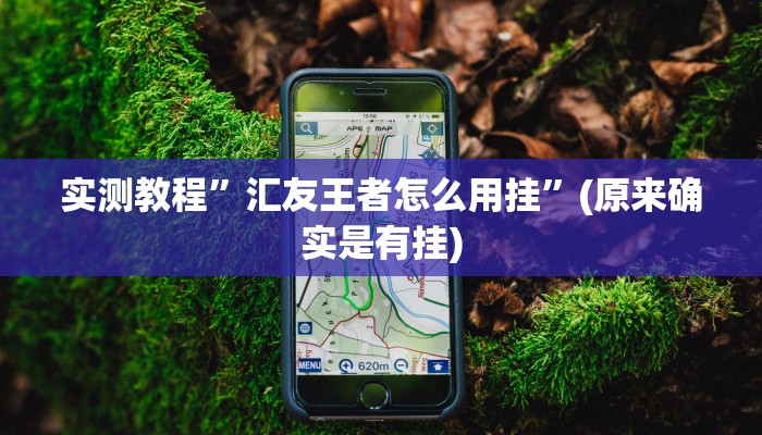 实测教程”汇友王者怎么用挂”(原来确实是有挂)