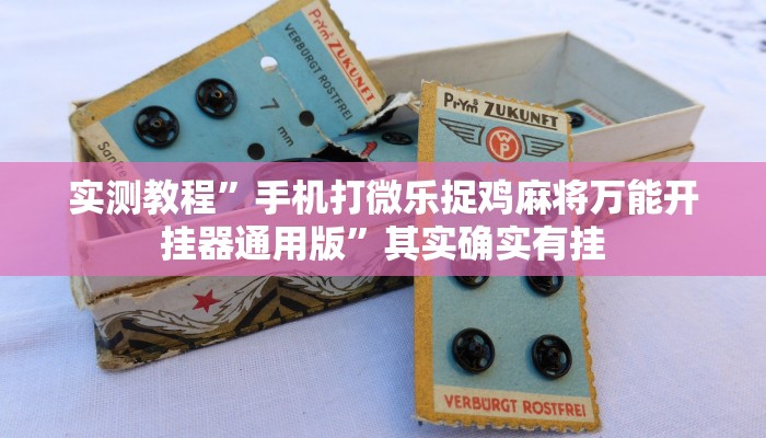 实测教程”手机打微乐捉鸡麻将万能开挂器通用版”其实确实有挂
