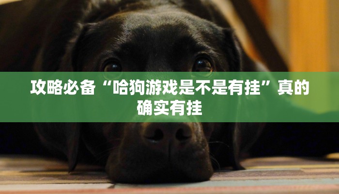 攻略必备“哈狗游戏是不是有挂”真的确实有挂