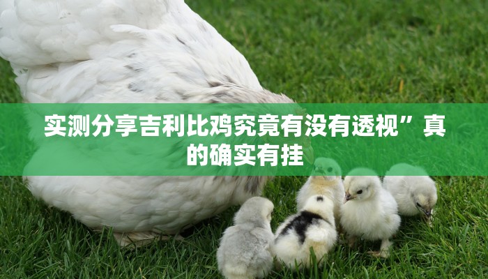 实测分享吉利比鸡究竟有没有透视”真的确实有挂