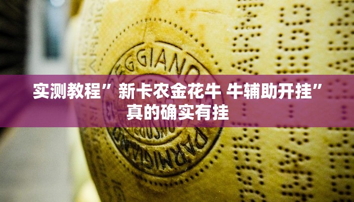 实测教程”新卡农金花牛 牛辅助开挂”真的确实有挂
