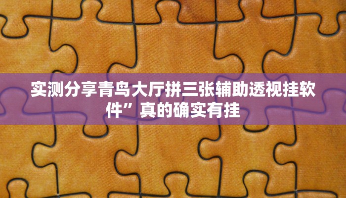 攻略必备“十三道游戏用挂开挂软件”
其实确实有挂
