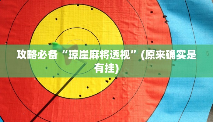 攻略必备“琼崖麻将透视”(原来确实是有挂)