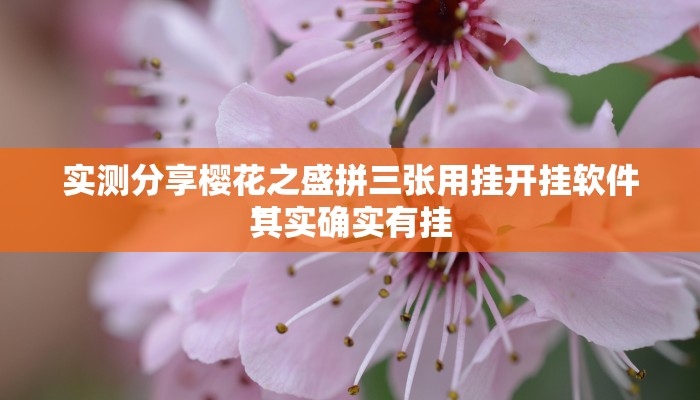 实测分享享博棋牌有透视吗”其实确实有挂
