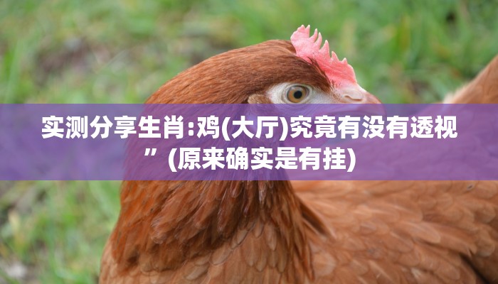 实测分享生肖:鸡(大厅)究竟有没有透视”(原来确实是有挂)
