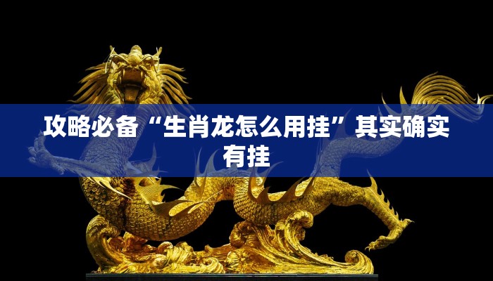 攻略必备“生肖龙怎么用挂”其实确实有挂
