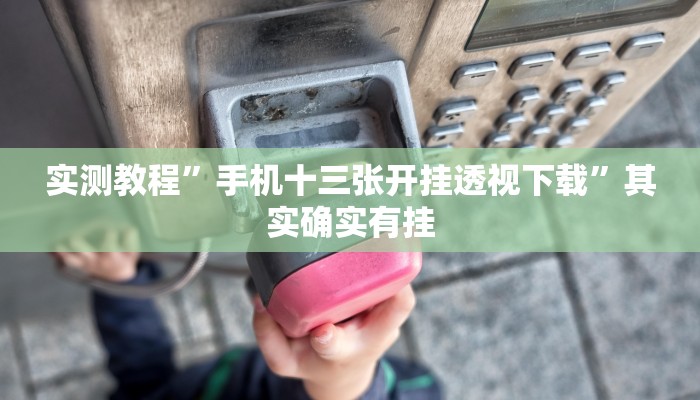 实测教程”手机十三张开挂透视下载”其实确实有挂
