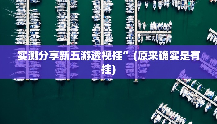 实测分享新五游透视挂”(原来确实是有挂)
