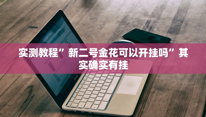 实测教程”新二号金花可以开挂吗”其实确实有挂
