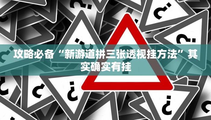 攻略必备“新游道拼三张透视挂方法”其实确实有挂
