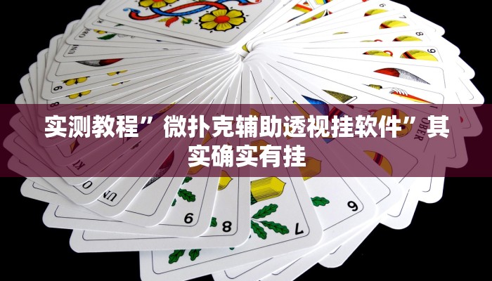 实测教程”微扑克辅助透视挂软件”其实确实有挂
