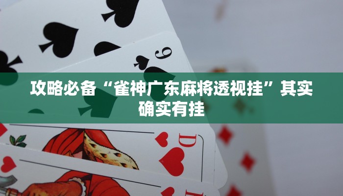 攻略必备“雀神广东麻将透视挂”其实确实有挂
